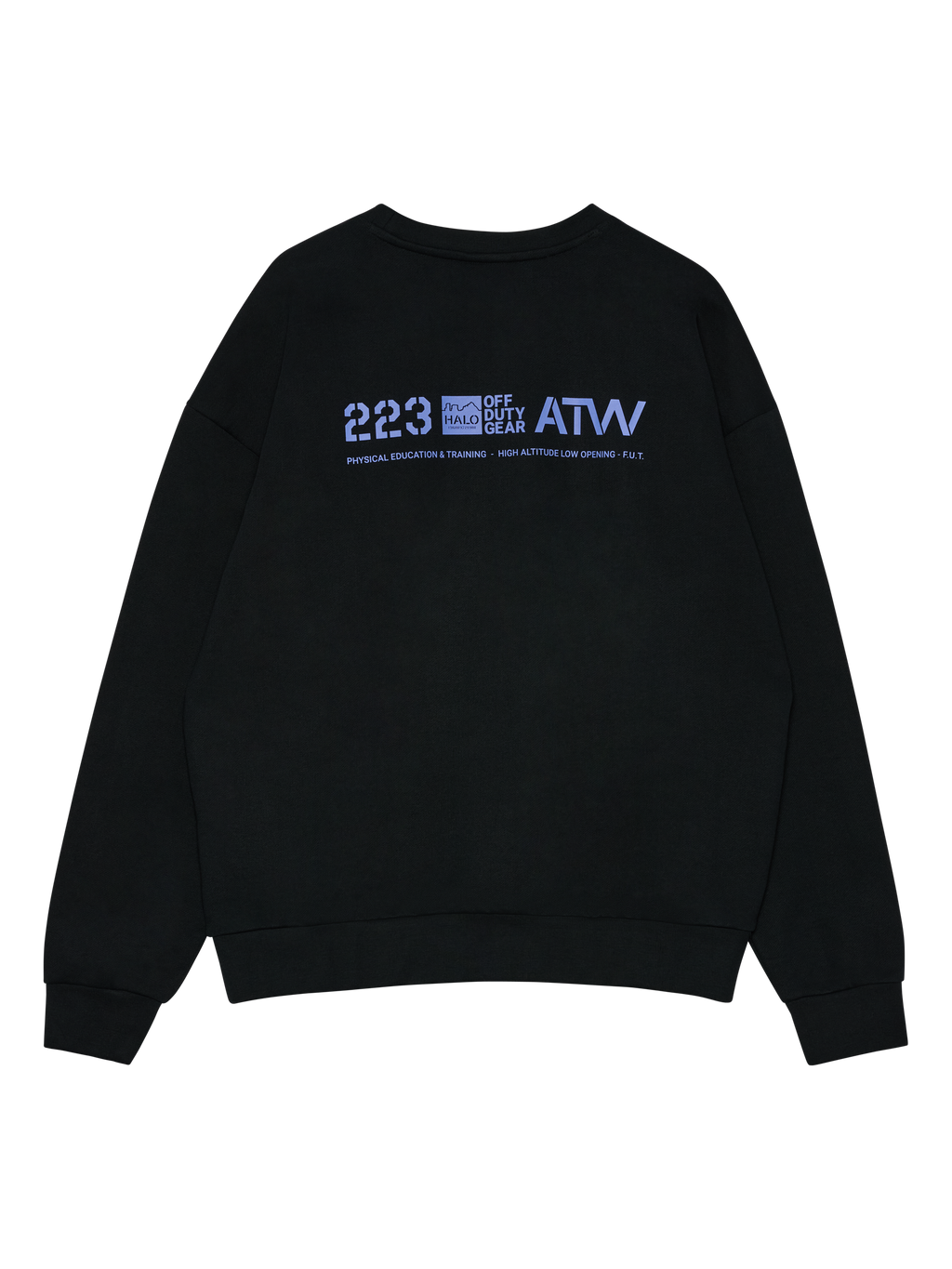 HALO GRAPHIC BOXY CREW