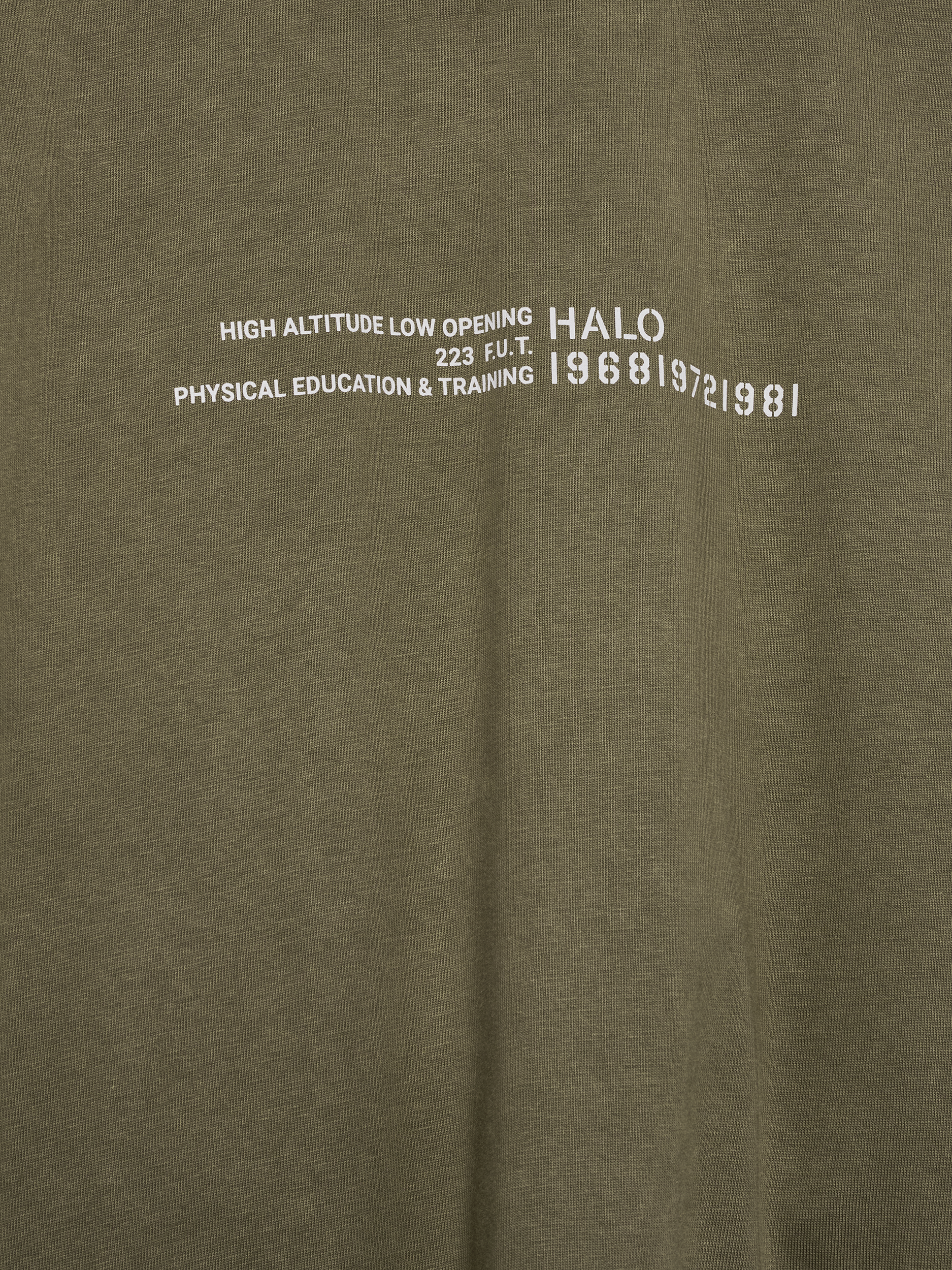 HALO GRAPHIC BOXY T-SHIRT