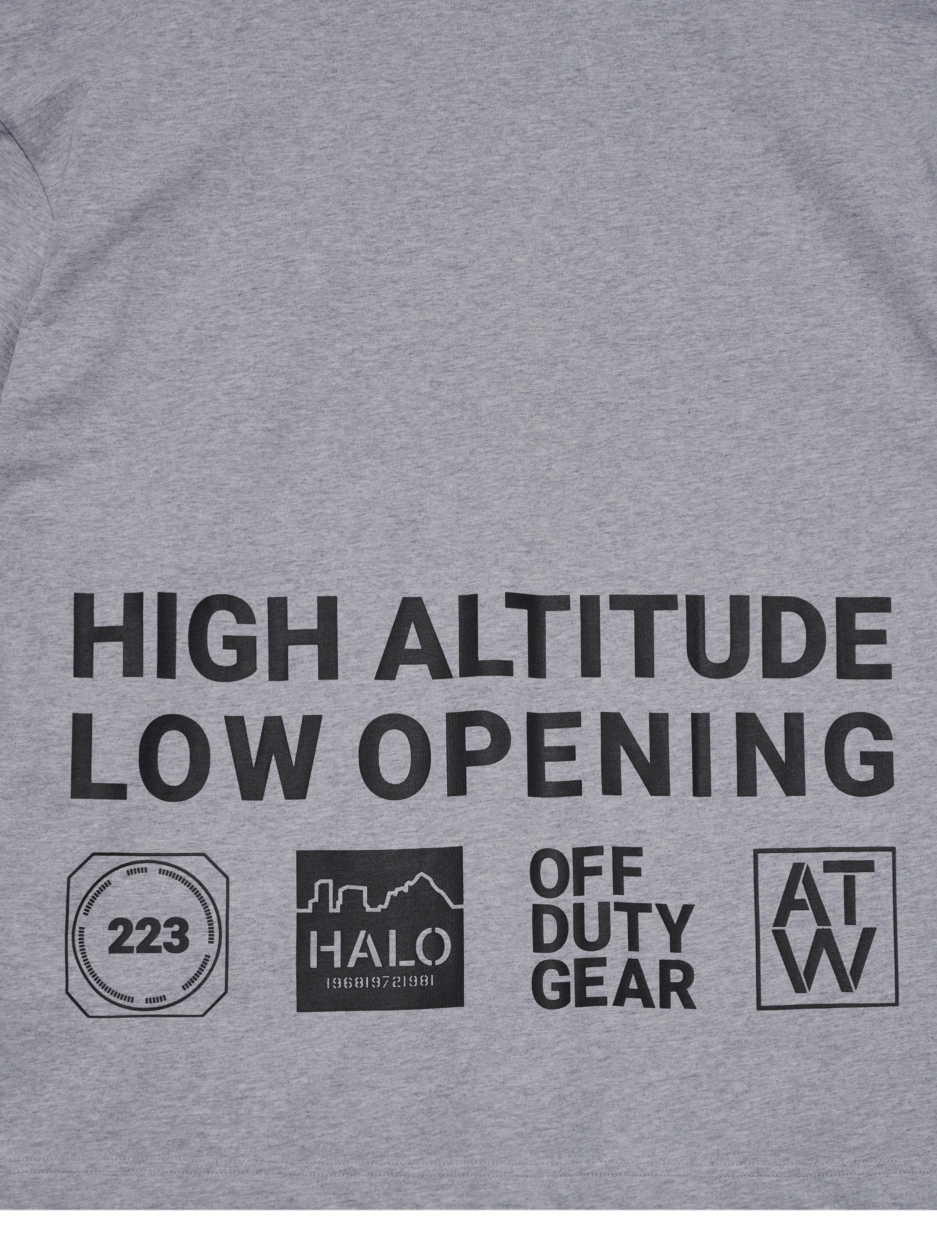 HALO GRAPHIC BOXY T-SHIRT