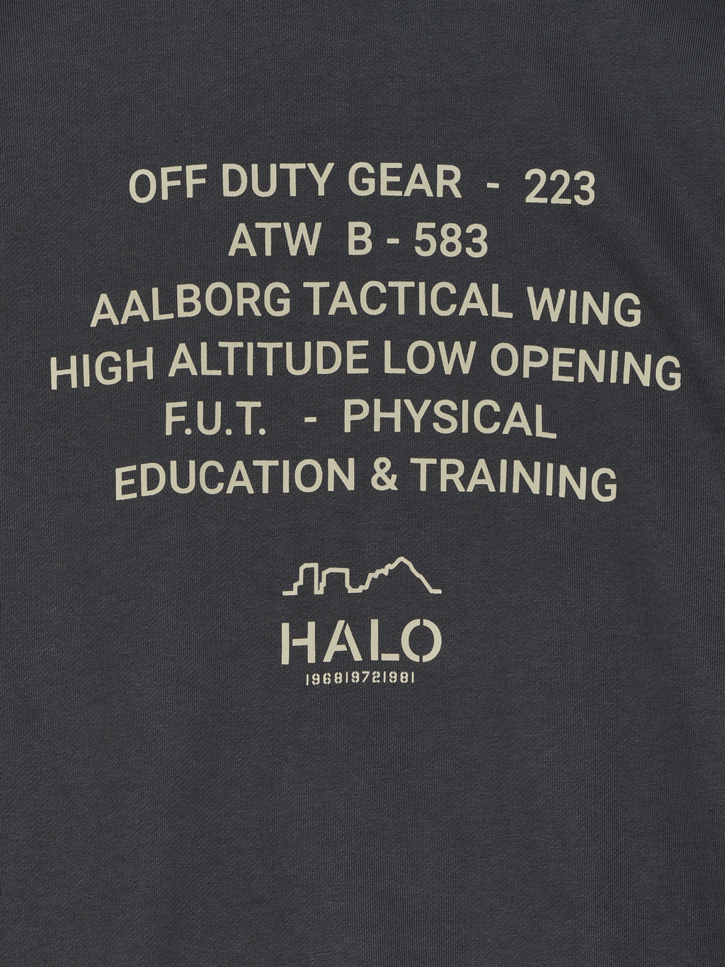 HALO GRAPHIC BOXY CREW