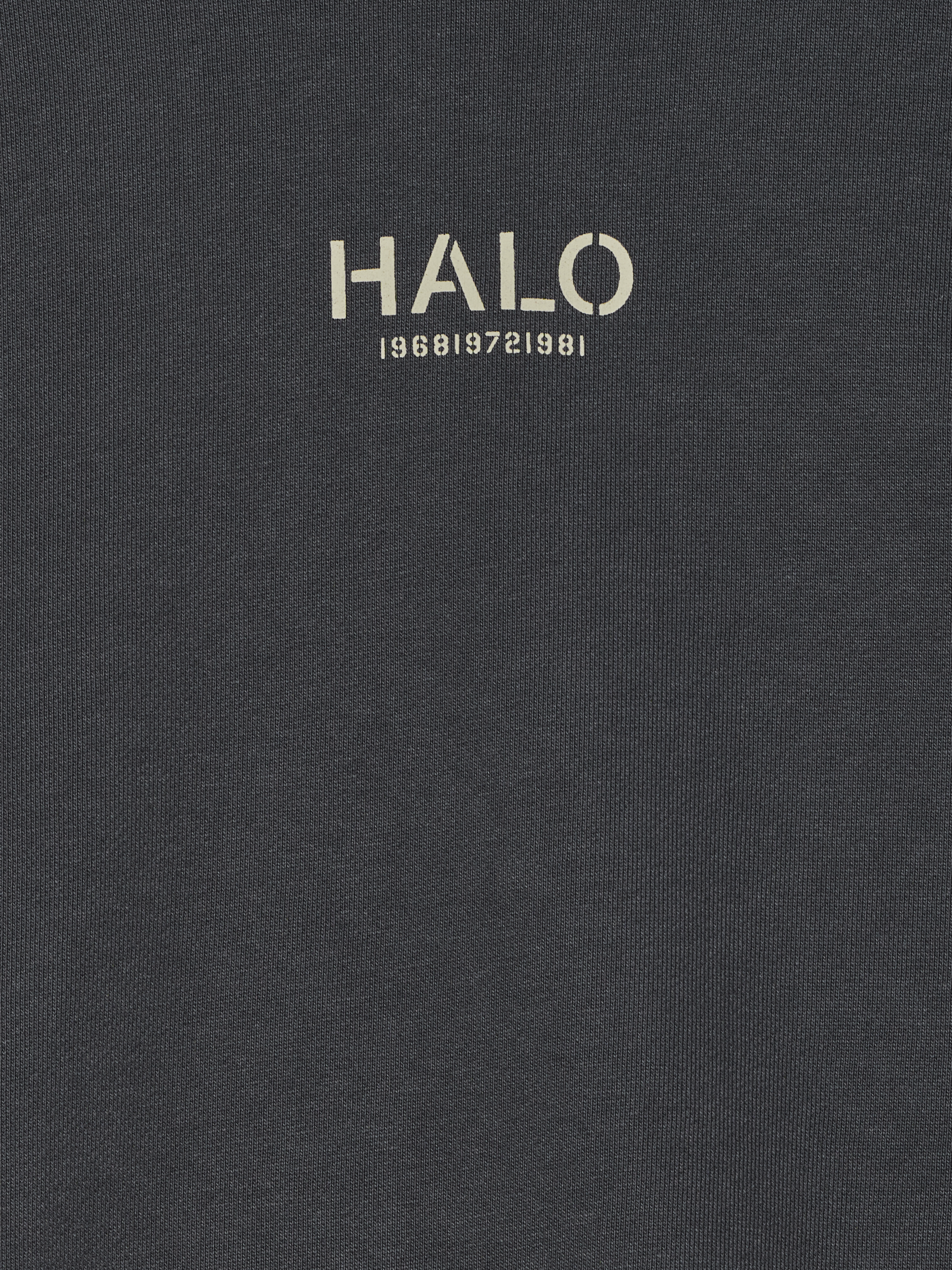 HALO GRAPHIC BOXY CREW