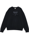 HALO GRAPHIC BOXY CREW