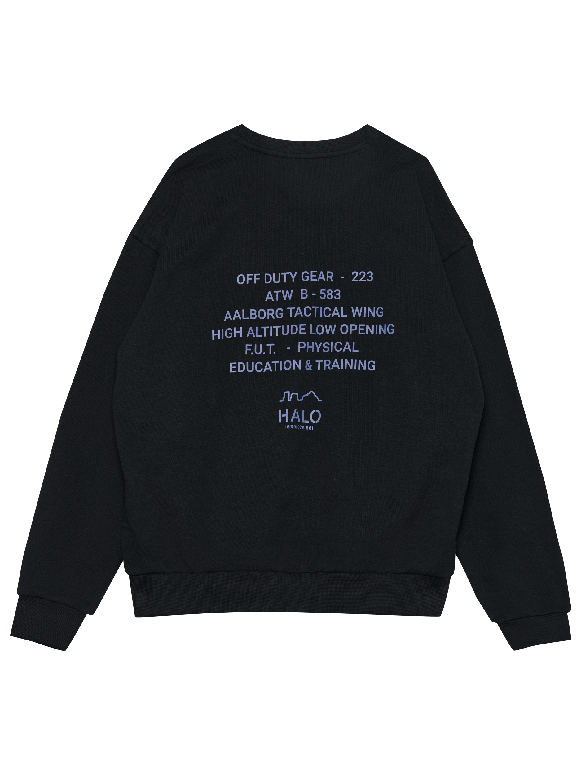 HALO GRAPHIC BOXY CREW